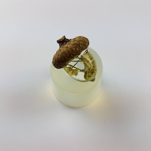 Clear silicone acorn mold 21 x 15 mm, for resin jewelry and polymer clay, glossy body part only