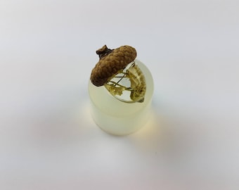 Clear silicone acorn mold 21 x 15 mm, for resin jewelry and polymer clay, glossy body part only