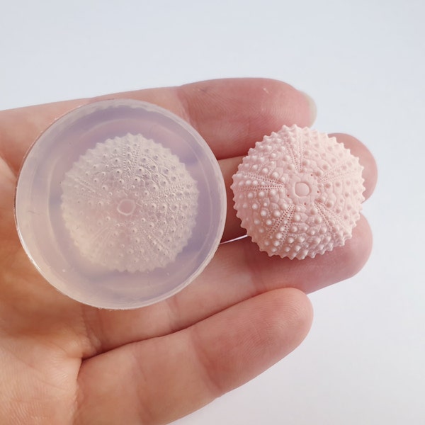 25 x 10 mm sea urchin shell clear silicone mold for resin, real shell texture