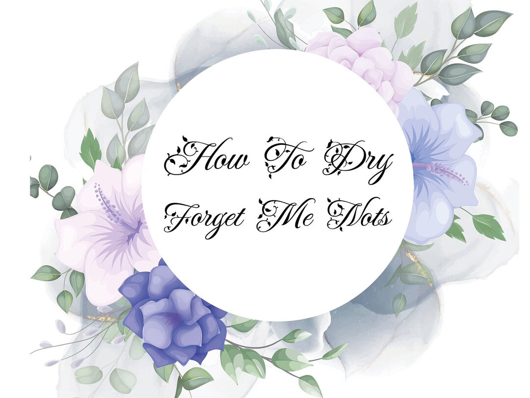 crazynature PDF Digital File ''how to Dry Forget Me Not Flowers'', How to Preserve Flower, How to Dry Flower for Resin - Etsy