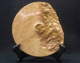 Disco decorativo (#358), arce acolchado con borde natural