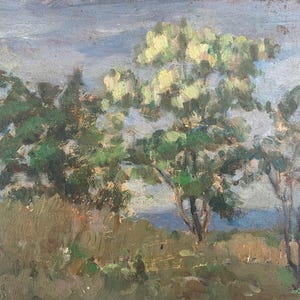 Pintura antigua de paisaje rural original de arte soviético del artista ucraniano Sokolovsky G. 18-24 años 1960