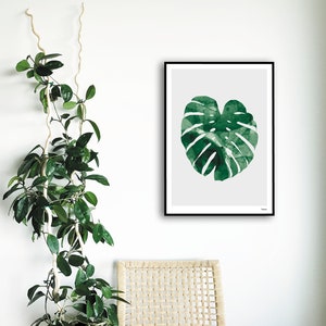 banum Monstera N1 Poster Monstera, art print green plant, picture nature, poster watercolor Monstera, living room decoration leaf, picture botany green image 8