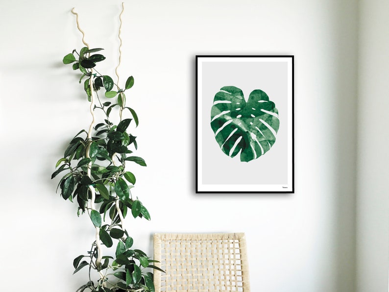 banum Monstera N1 Poster Monstera, art print green plant, picture nature, poster watercolor Monstera, living room decoration leaf, picture botany green image 8