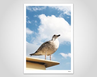 banum Möwe N3 — Poster, Photography Seagull, Picture Beach Summer, Art Print Holiday, Decoration Living Room, Poster Hamburg North Sea, Poster Maritime Animal