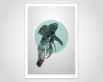 banum Betta Fish — Poster Fighting Fish, Art Print Ink, Poster Ink Drawing, Poster Fine Line Art, Poster Aquarium Nursery, Decoration