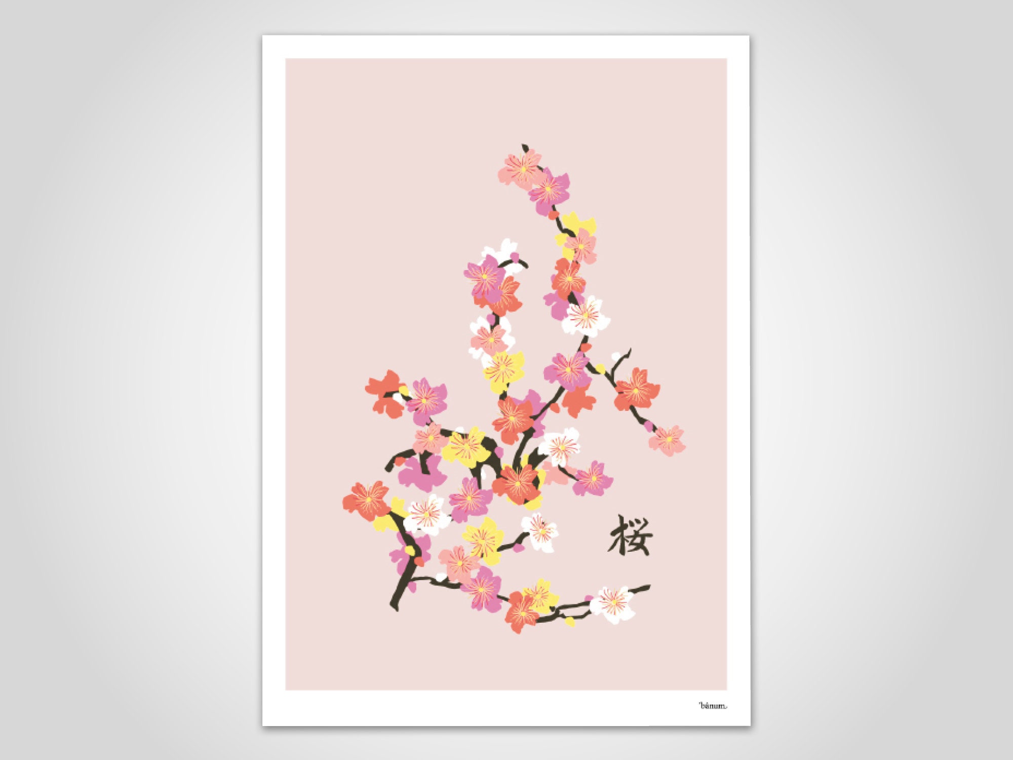 blossom poster Cherry