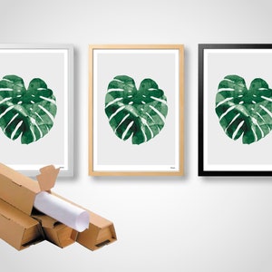 banum Monstera N1 Poster Monstera, art print green plant, picture nature, poster watercolor Monstera, living room decoration leaf, picture botany green image 9