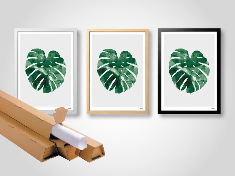 banum Monstera N1 Poster Monstera, art print green plant, picture nature, poster watercolor Monstera, living room decoration leaf, picture botany green image 9