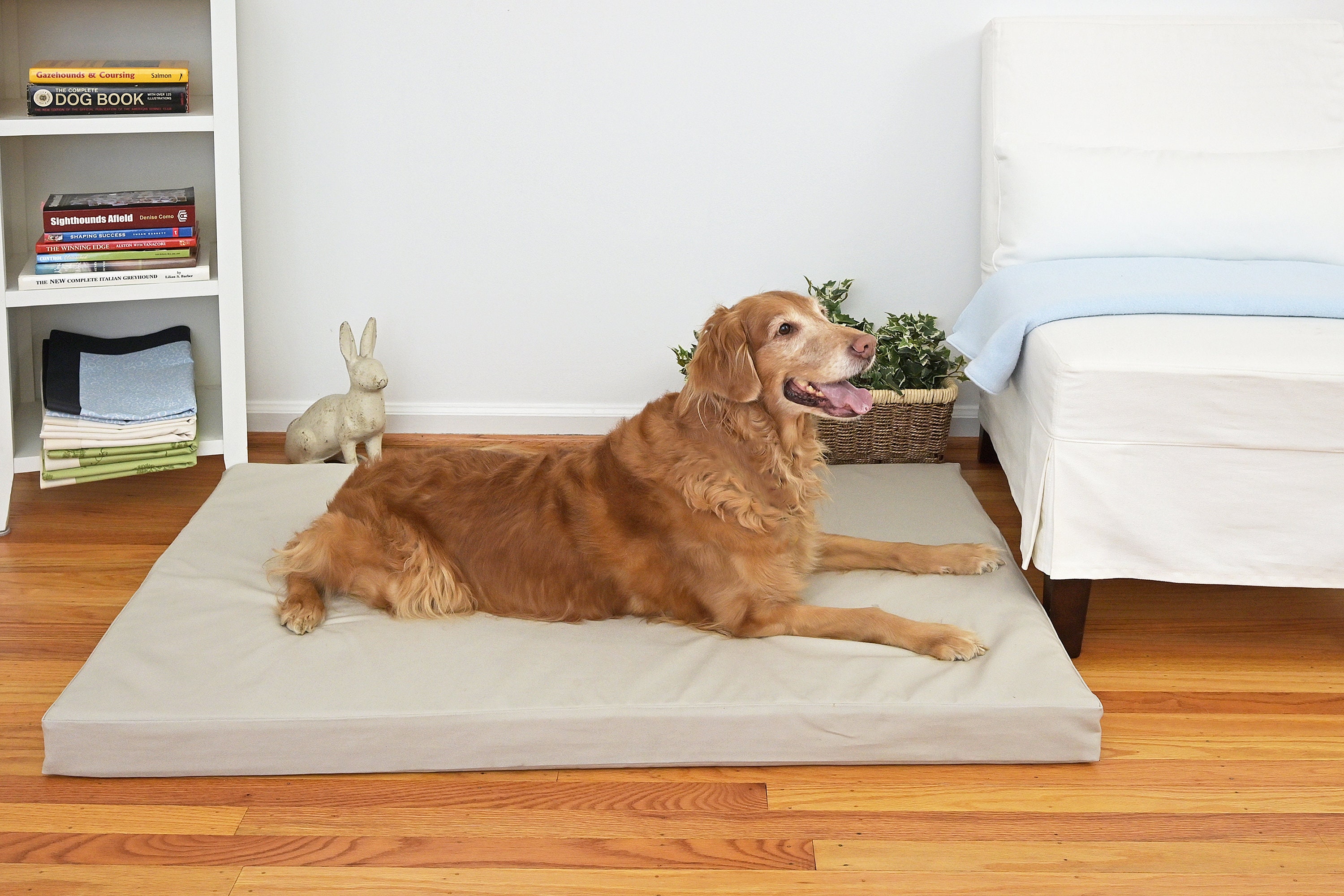 Organic Dog Bed Cover Organic Cotton Dog Bed Dog Bed Duvet Etsy