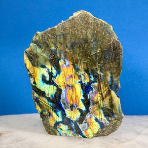 May include: A polished labradorite slab featuring a dark gray base with prominent iridescent flashes of yellow, blue, and orange. The stone displays a complex network of natural fractures and crystalline patterns across its flat surface.