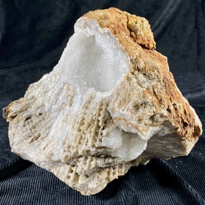 8.5&quot; (w) Huge Beautiful Agatized Coral Specimen With Large Druzy Section, Fossilized Coral, Agatized Fossil Coral Geode, Statement Piece