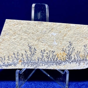 2.8”(W), 49.9g, Genuine  Dendrite Crystal In Sandstone Plate / Slab  Resembling Tree-Like Form, Nature’s Artwork, Natural Home Decor, SKU#10