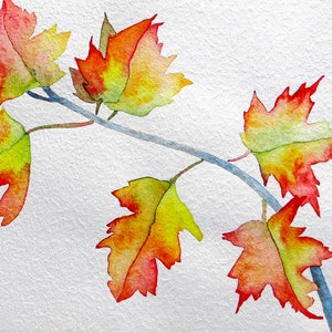 Original botanical wall art, whimsical watercolor painting of maple tree branch is lovely autumn home decor, 11x15