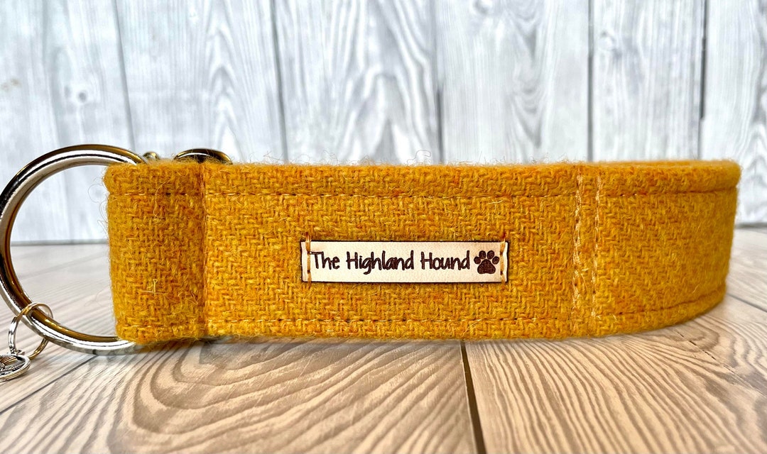 Harris Tweed Fishtail Martingale Collar 1.5” Buttercup - Etsy