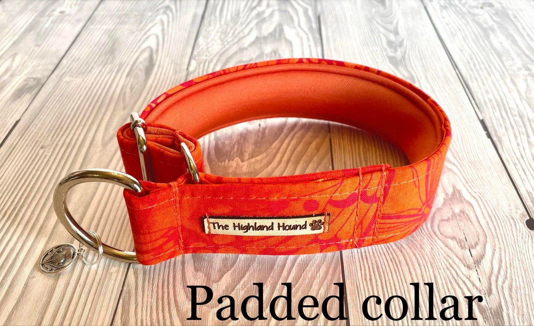 Neoprene Padded Fishtail Martingale Dog Collar Winged Creatures - Etsy