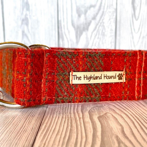 Harris Tweed Fishtail Martingale Dog Collar 2” Autumn