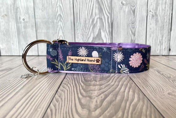 1.5 martingale dog best sale collar