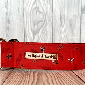 May include: Red dog collar with a ladybug print and a silver D-ring. The collar has a brown leather tag that says "The Highland Hound" with a paw print.