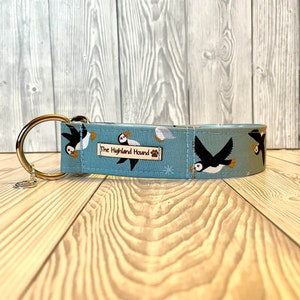 Könnte beinhalten: Ein hellblaues Hundehalsband mit einem Muster aus fliegenden Papageientauchern. Das Halsband hat einen goldenen D-Ring aus Metall und ein Schild mit der Aufschrift "The Highland Hound".