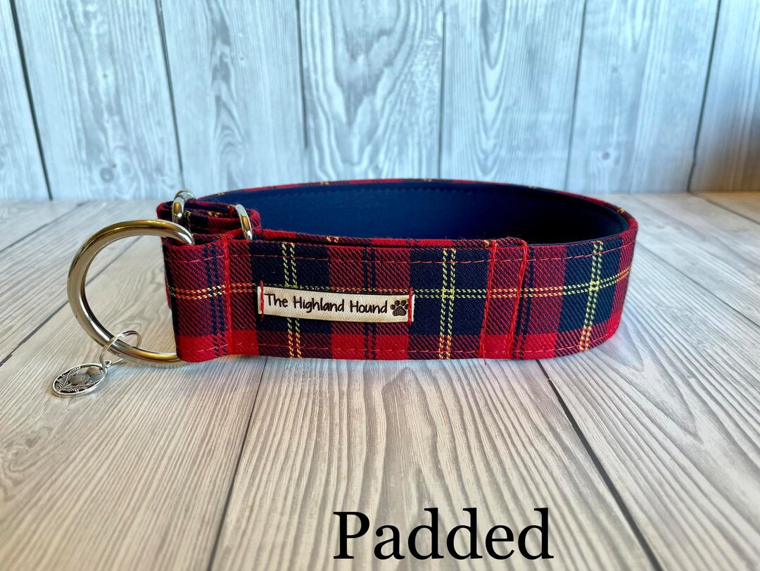 Neoprene Padded Fishtail Martingale Dog Collar Alasdair - Etsy