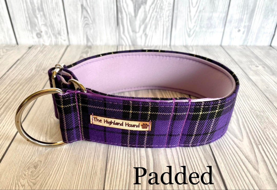 Neoprene Padded Fishtail Martingale Dog Collar Fairy Pools - Etsy