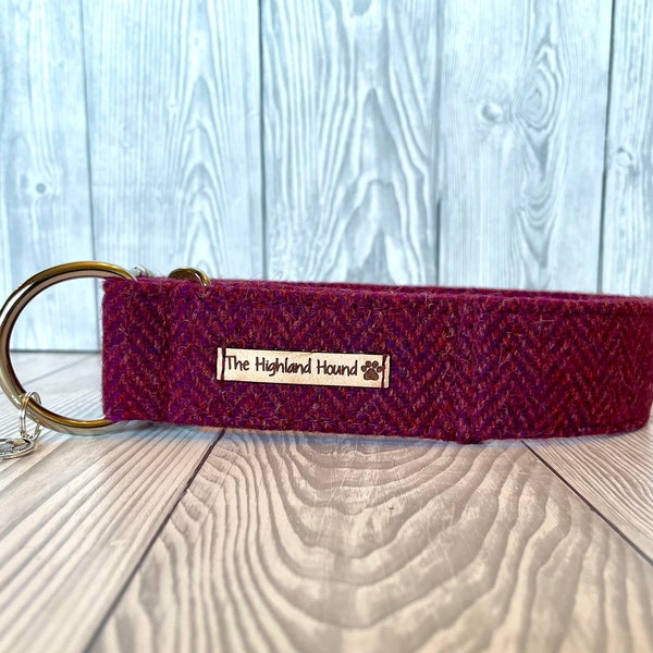 Martingale Dog Collar Etsy