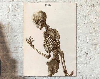 Posing skeleton from old book on human anatomy, 1767 - Anatomy poster - Medical poster - Skeleton poster - Human body poster