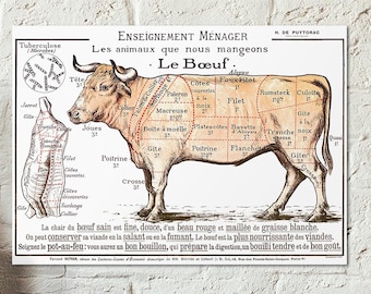 Le boeuf beef cuts - Old vintage meat cut scheme - slaughterhouse butchery educational charts