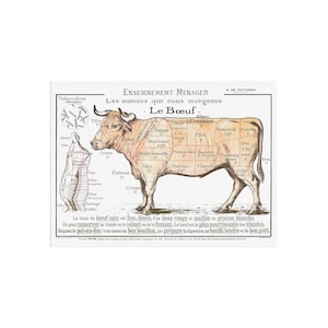 Découpes de boeuf Le boeuf - Schéma de découpe de viande à l'ancienne - Cartes éducatives de boucherie d'abattoir