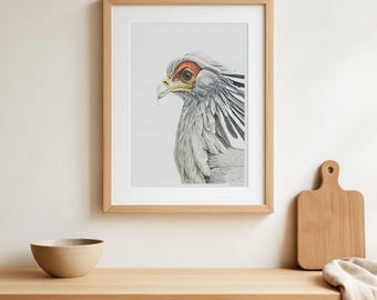 Hermoso póster vintage del Pájaro Secretario: diseño de arte moderno de ilustración de pájaro de un libro antiguo.