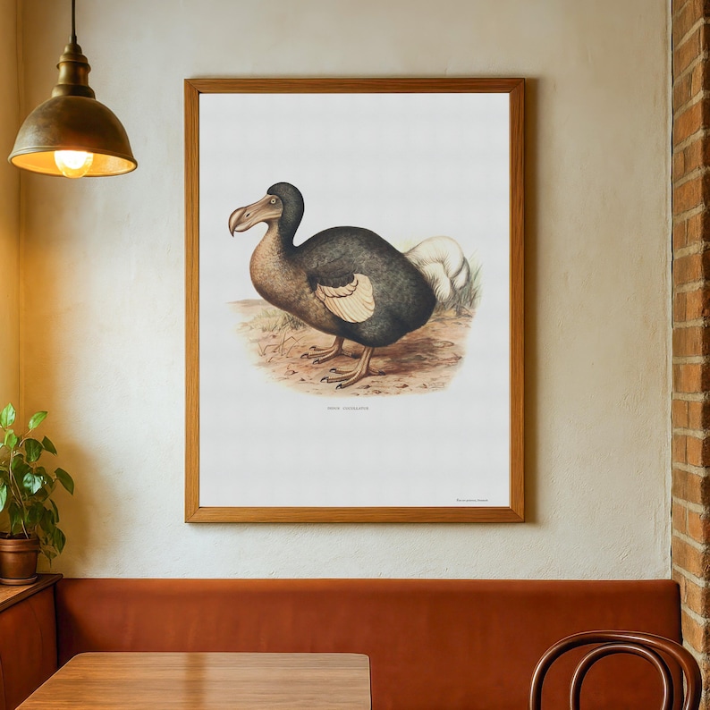 Retro Dodo Poster - Beautiful Vintage Poster With Drawing of the ...