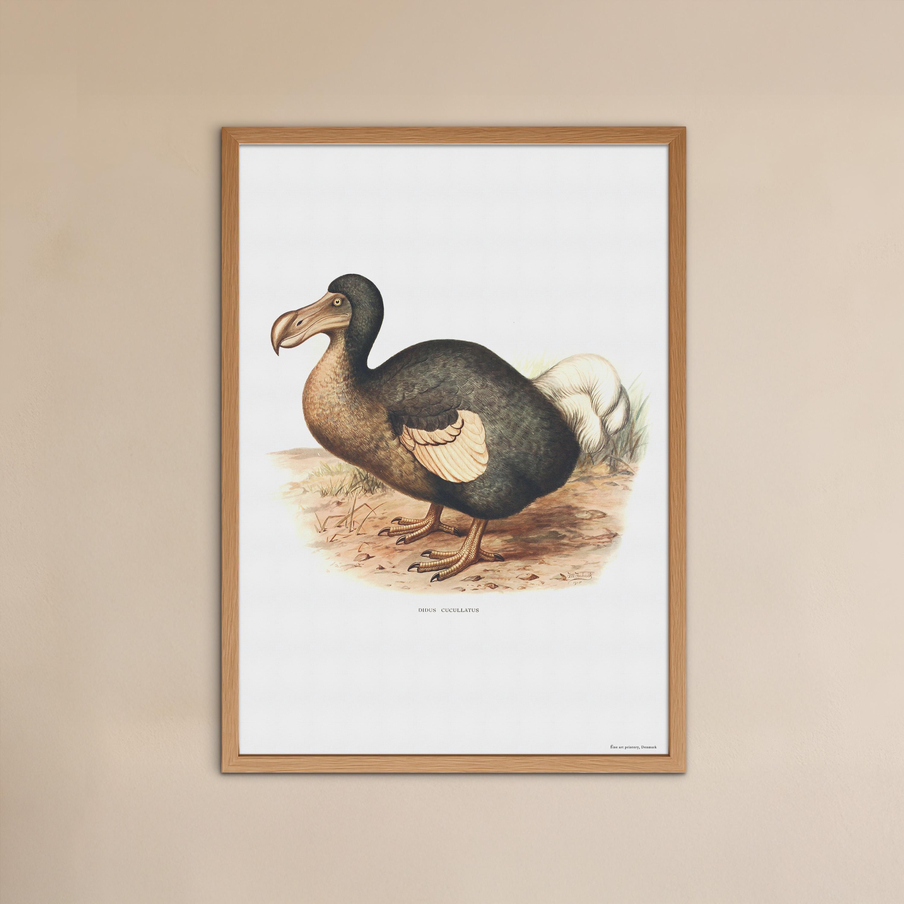 Retro Dodo Poster - Beautiful Vintage Poster With Drawing of the ...