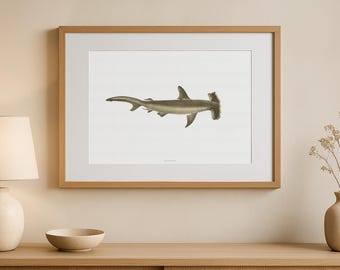 Vintage Hammerhead Shark Illustration Print, Sphyrna zygaena, Marine Biology Poster