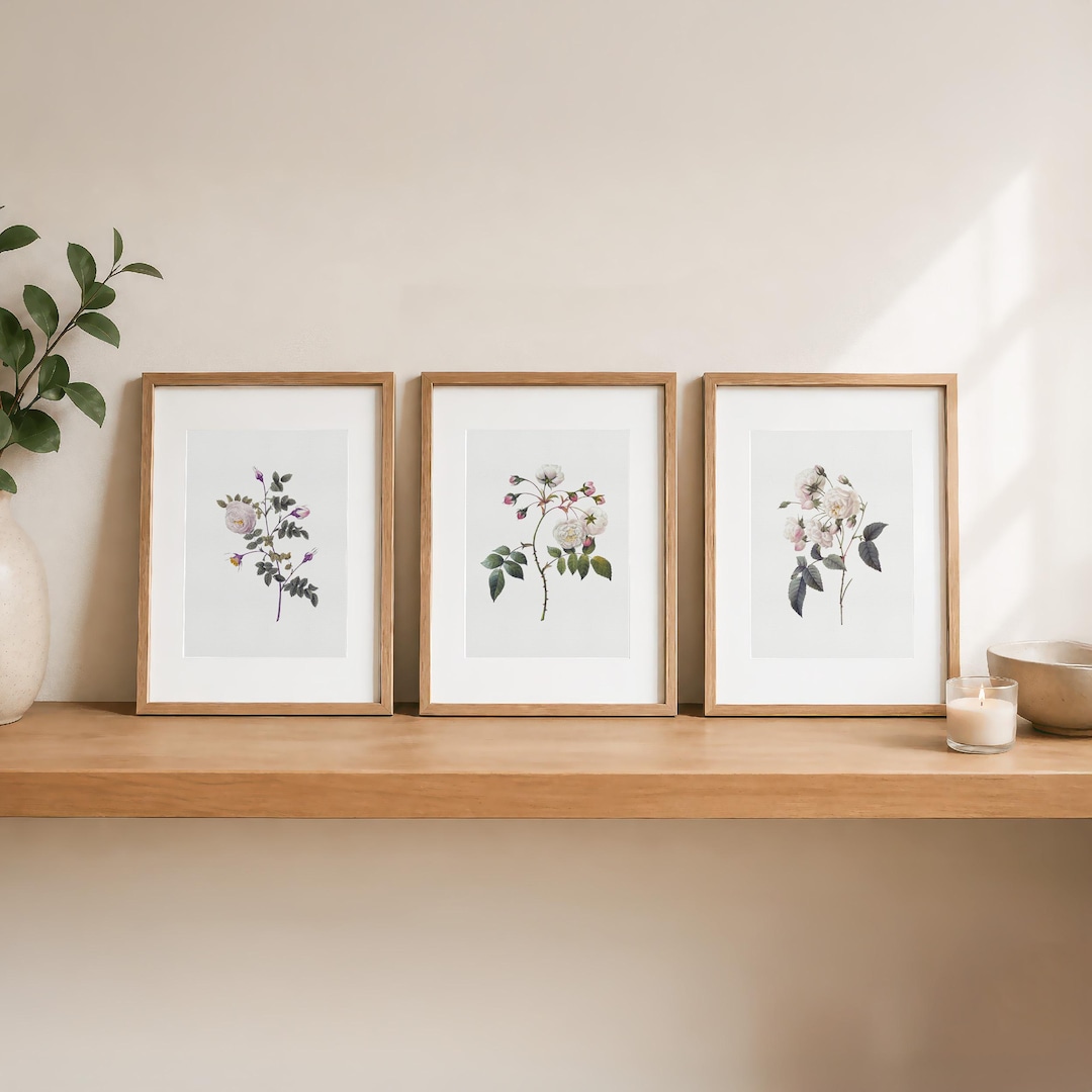 Vintage Rose Print Set - 3 Botanical White Rose Prints - Minimalist ...
