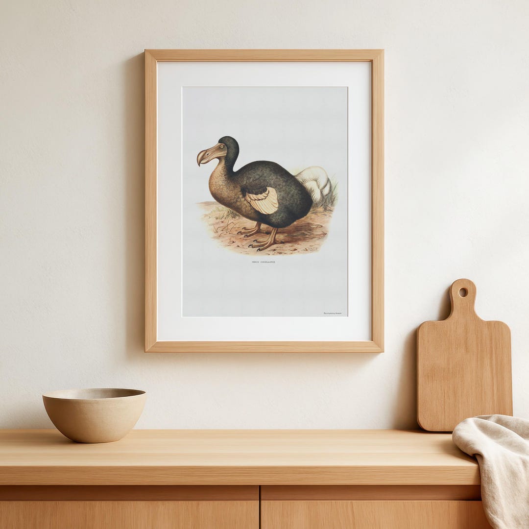 Retro Dodo Poster - Beautiful Vintage Poster With Drawing of the ...