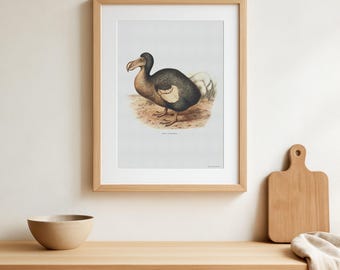 Retro Dodo Poster - Schönes Vintage-Poster mit Zeichnung des ausgestorbenen, aber sehr besonderen Dodo-Vogels