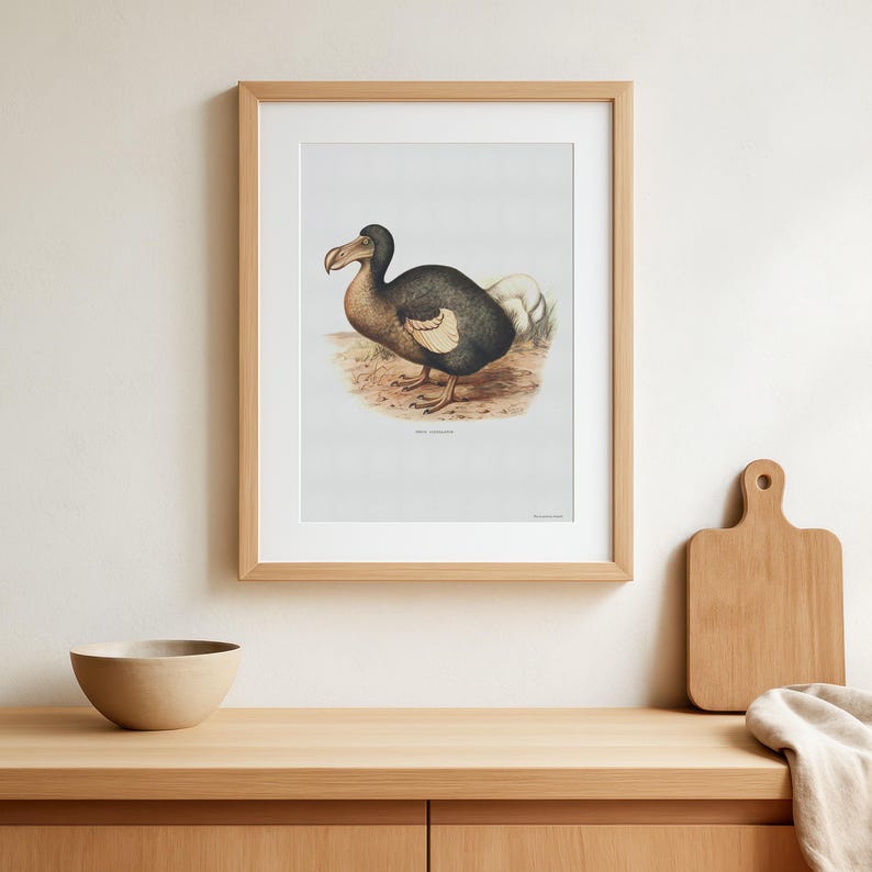 Retro Dodo Poster - Beautiful Vintage Poster With Drawing of the ...