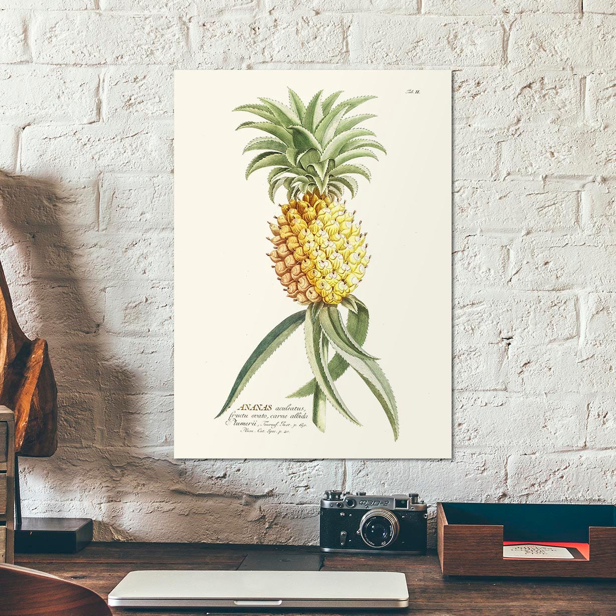 Poster - Etsy Ananas