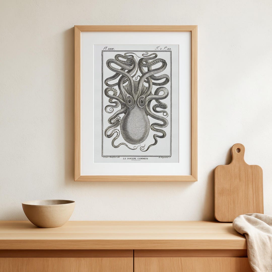 Antique Octopus Print - Octopus Vulgaris - Vintage Sea Monster Drawing ...