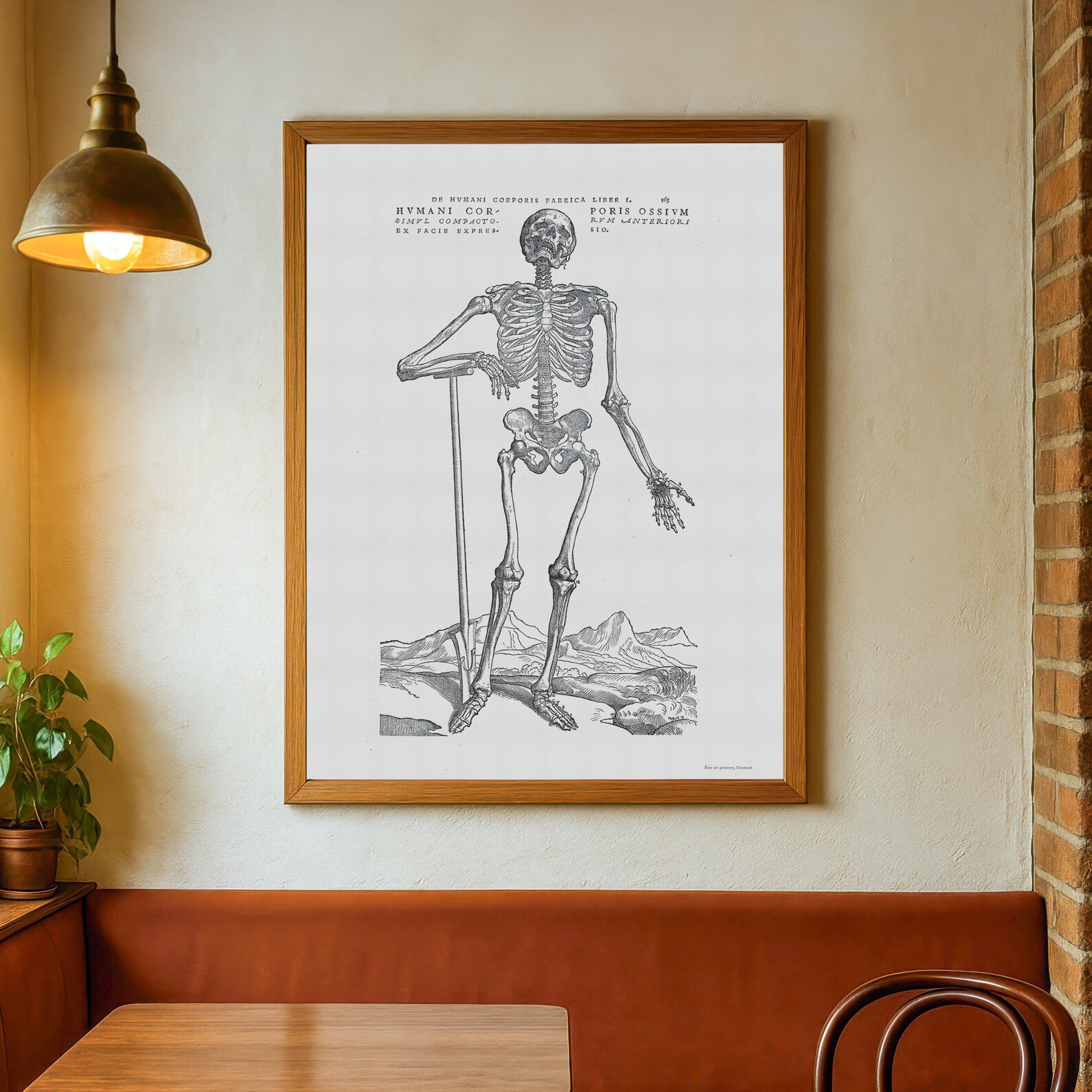 Vintage Anatomy Poster – Human Skeleton Print, Andreas Vesalius - Etsy