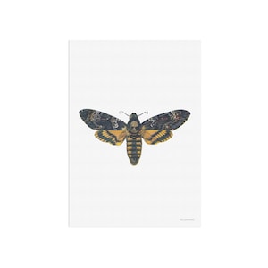 Death&#39;s-head hawkmoth - Acherontia atropos - vintage moth poster - insect art