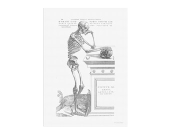 Vintage Anatomy of the human body - Educational poster with a Leaning human skeleton - Chart - book illustration repro - Andreas Vesalius