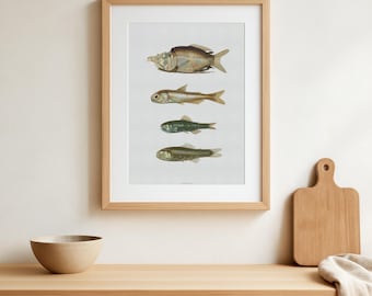 Vintage Deep Sea Fish Print - 1911 Antique Marine Life Illustration