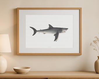 White Shark Print, Vintage Ocean Animal Illustration, Coastal Wall Art