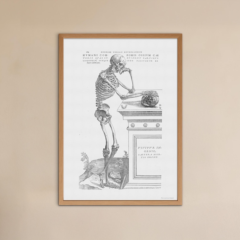 Vintage Anatomy Poster – Andreas Vesalius Leaning Skeleton Print - Etsy ...