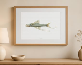 impression de poisson trépied vintage | Art marin ancien de 1919