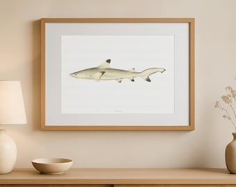 Vintage Blacktip Reef Shark Print, Carcharhinus Melanopterus, Marine Biology Poster