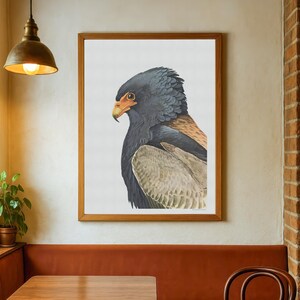 Vintage Bateleur Adler Poster - Antike Vogel-Illustration Bild 4