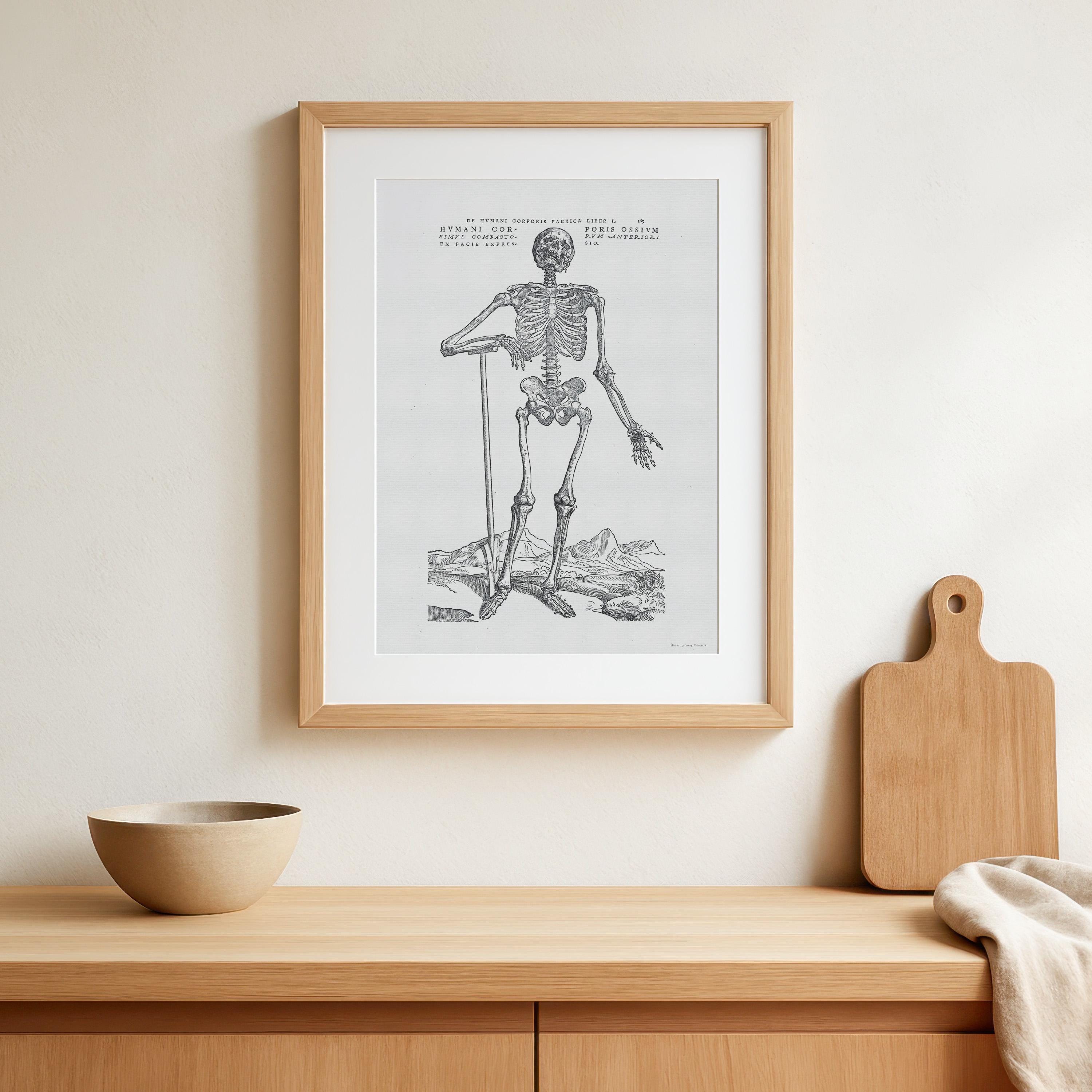 Vintage Anatomy Poster – Human Skeleton Print, Andreas Vesalius - Etsy